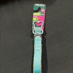 Vibrant Life Medium Teal Stripe Padded Dog Collar 7/8" x 14-20"